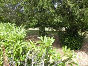 Terrain à bâtir à Moustey (40410)
