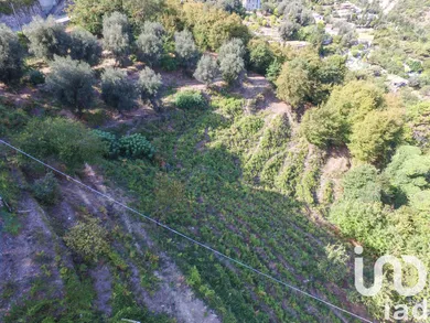 Building plot in SAINTE AGNES (06500)
