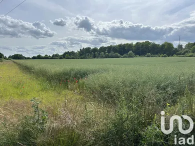Land at Saint-Hilaire-au-Temple (51400)