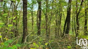 Terrain loisirs à Moret-Loing-et-Orvanne (77250)