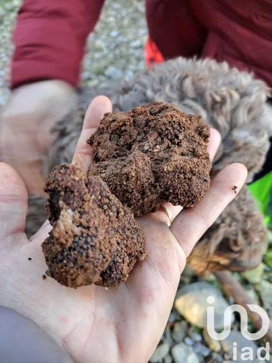 Land at STE CECILE LES VIGNES (84290)