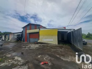 Workshop at Le Moule (97160)