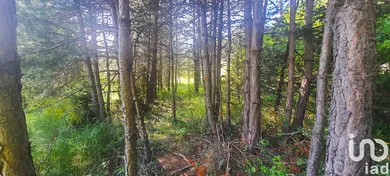 Building plot in Caille (06750)