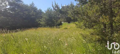 Building plot in Caille (06750)