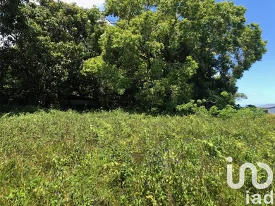 Building plot at Saint-Benoît (97437)