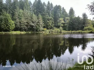 Terrain loisirs à Nieul (87510)