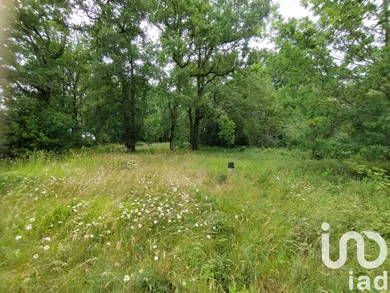 Terrain à bâtir à Villefranche-de-Lonchat (24610)