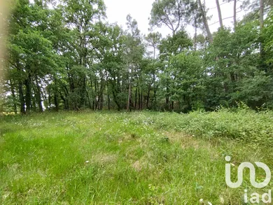 Terrain à bâtir à VILLEFRANCHE DE LONCHAT (24610)