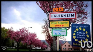 Maison traditionnelle à Eguisheim (68420)