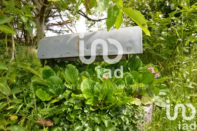 House at Cour-Cheverny (41700)