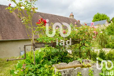 House at Cour-Cheverny (41700)