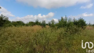 Farm land at Claira (66530)