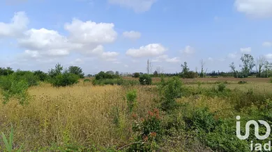 Farm land at Claira (66530)