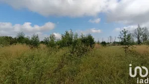 Terrain à Claira (66530)
