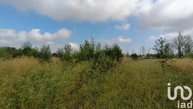 Terrain à Claira (66530)