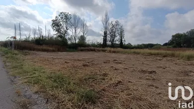 Terrain à Claira (66530)