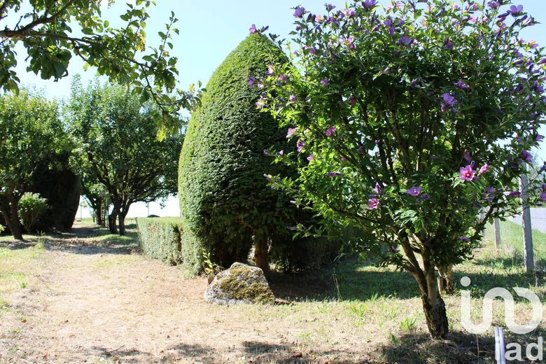 Terrain loisirs à Pontlevoy (41400) · 19 000 €