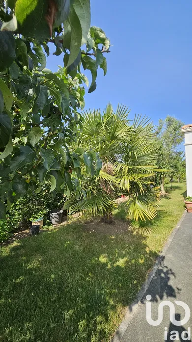 House at Saujon (17600) — 8/24
