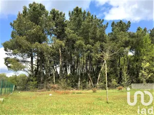 Terrain à Bussac-Forêt (17210)
