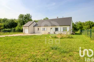 House at Pithiviers-le-Vieil (45300)
