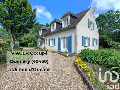 Traditional house at Donnery (45450)