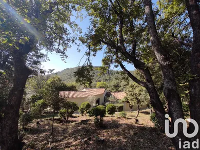 Maison à Saint-Jean-du-Pin (30140)