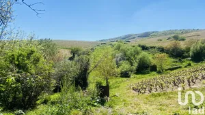 Domaine à Quincié-en-Beaujolais (69430)