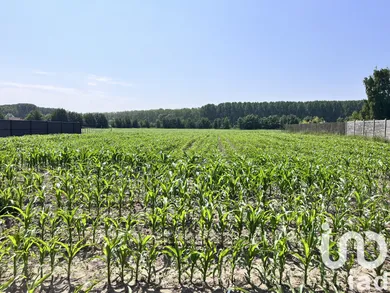 Building plot at Flines-lez-Raches (59148)