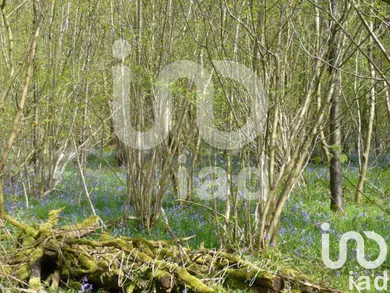 Land at Amillis (77120)