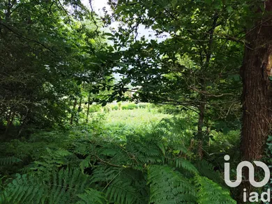 Land in Saint-Jacut-les-Pins (56220)