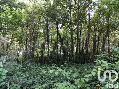 Land in Saint-Jacut-les-Pins (56220)
