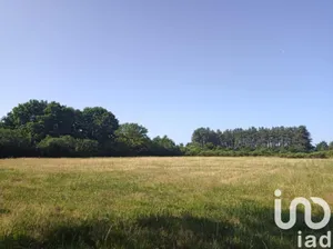 Terrain loisirs à Ouzouer sur Loire (45570)