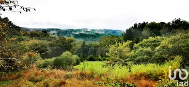 Maison à Peyrat-le-Château (87470)