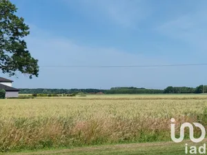 Terrain à bâtir à Illies (59480)