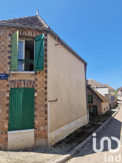 Farm in Brannay (89150)