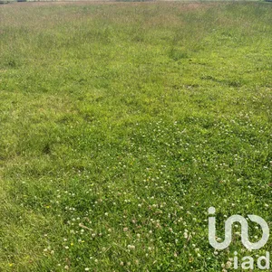 Building plot at Les Trois-Pierres (76430)