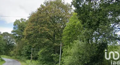 Terrain à Lanvénégen (56320)