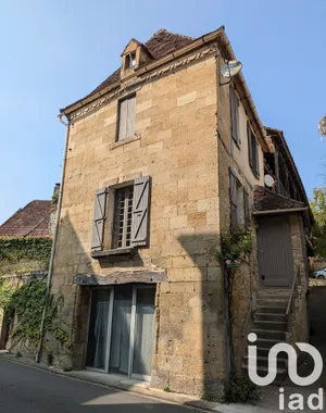 Domaine à SAINT-CYPRIEN (24220)