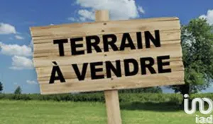 Terrain loisirs à pruniers en sologne (41200)
