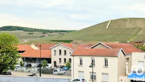 Appartement à Ay (51160)