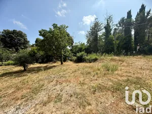 Land at Montauroux (83440)