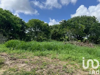 Terrain à Petit-Canal (97131)