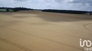 Terrain agricole  à Couleuvre (03320)