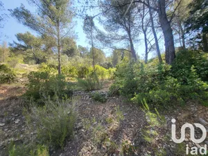 Terrain à Bandol (83150)