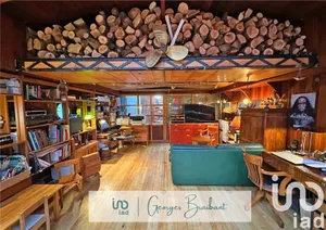 Péniche à Joinville-le-Pont (94340)