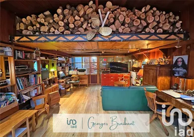 Péniche à Joinville-le-Pont (94340)