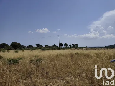 Terrain à Roubia (11200)