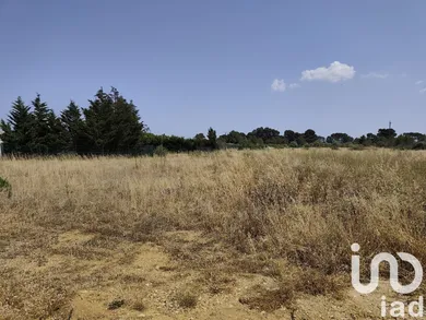 Land at Roubia (11200)