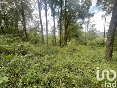 Building plot in Terrasson-Lavilledieu (24120)