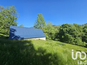 Barn at Arrens-Marsous (65400)